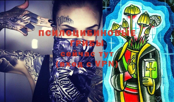 молекула духа Заводоуковск