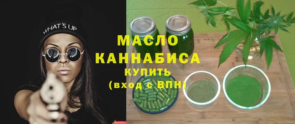 молекула духа Заводоуковск
