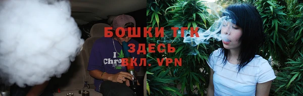 молекула духа Заводоуковск