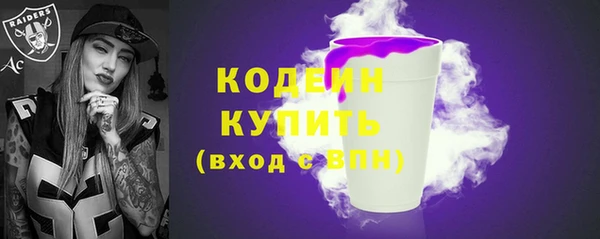 молекула духа Заводоуковск