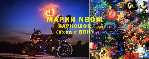 молекула духа Заводоуковск