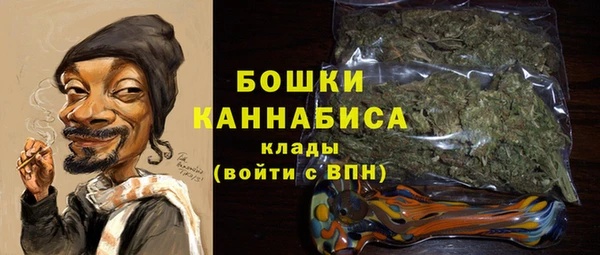 молекула духа Заводоуковск