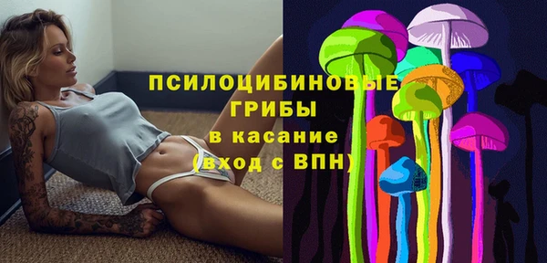 a pvp Ельня