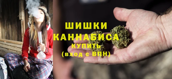 молекула духа Заводоуковск