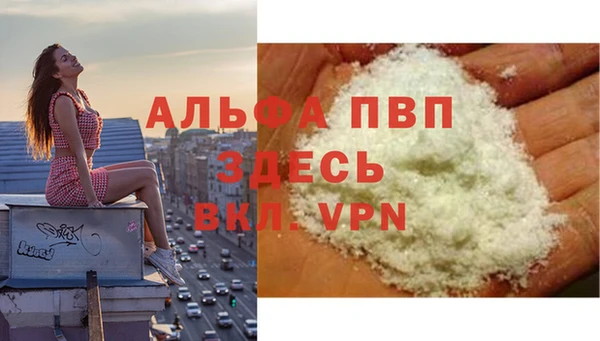 молекула духа Заводоуковск